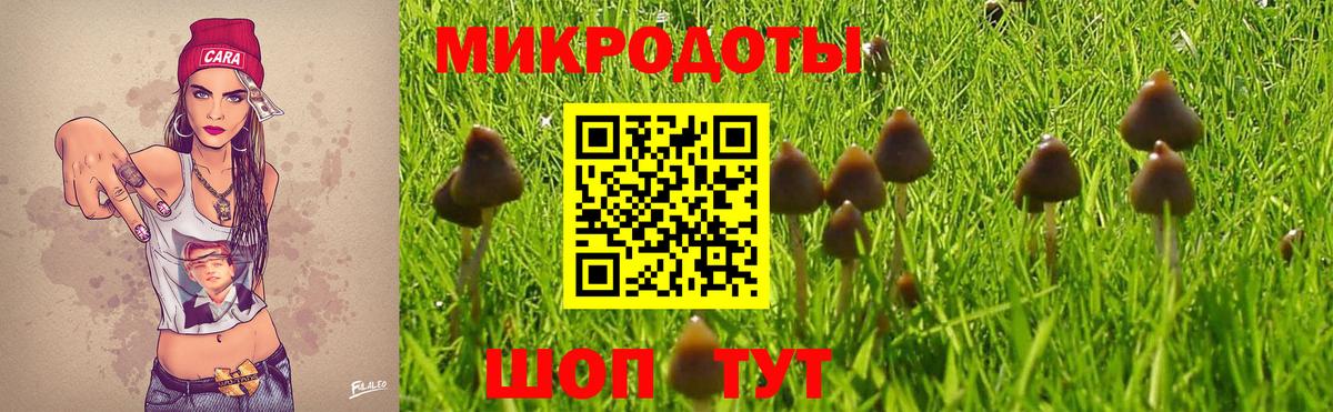 Псилоцибиновые грибы прущие грибы Сургут