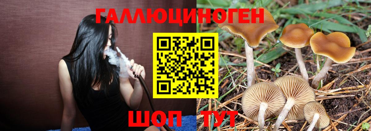 Сургут  Галлюциногенные грибы Magic Shrooms  Вход с VPN 